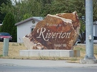 Norway Rat in Riverton, UT